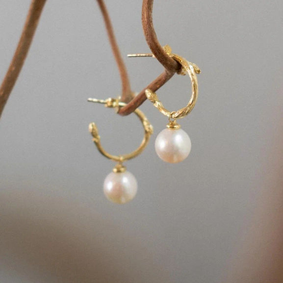 Branch Pearl Hoops Gold - Drakenberg/Sjölin Örhängen- Snabb leverans & paketinslagning - Nordic Spectra