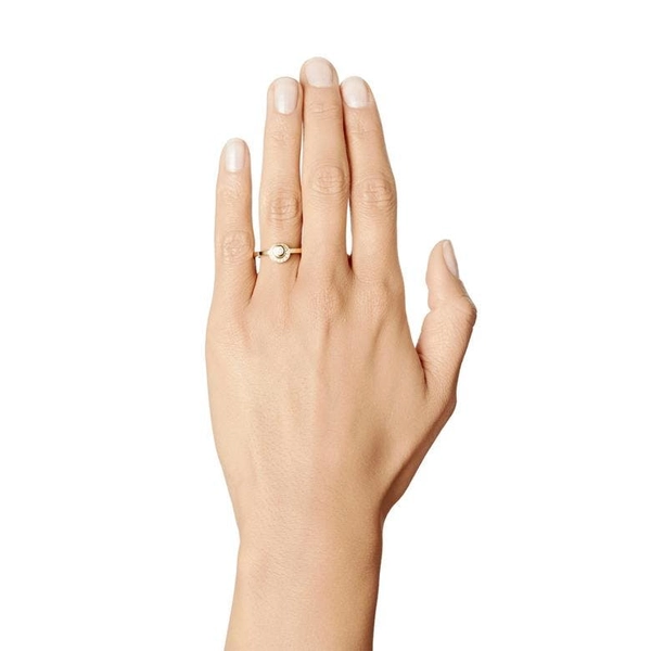AVO Wedding Ring Gold - Efva Attling ringar - Snabb frakt & paketinslagning - Nordicspectra.se