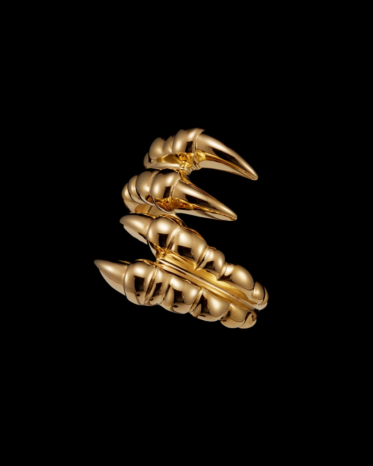 14_ee745ca512-claw-ring-double-gps-side-0x1500