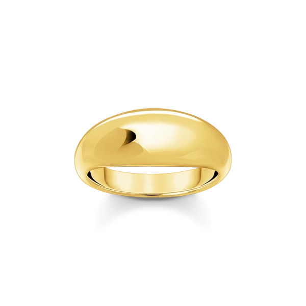 Ring mit zeitlos-edlem Design vergoldet - Thomas Sabo - Nordic Spectra