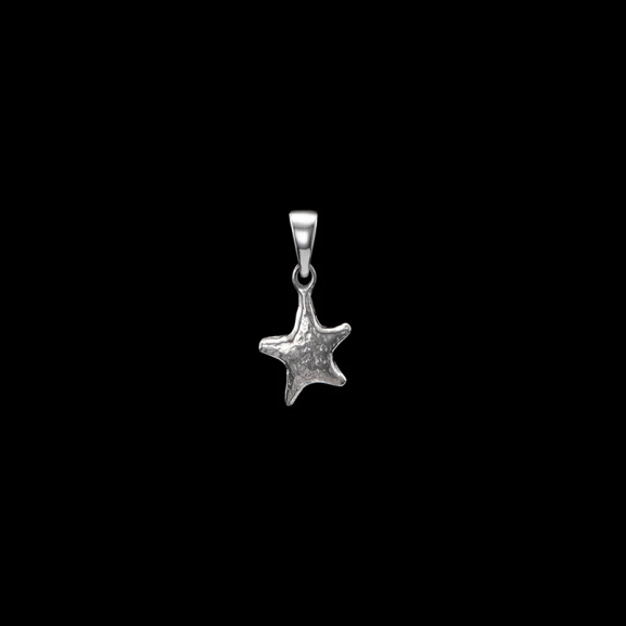 Tiny Tuvstarrs Star Charm - Maria Nilsdotter - Schmuck im skandinavischen Design - Nordic Spectra