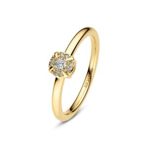 Rome Ring 14K guld