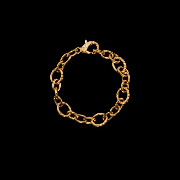 Charmed Chain Bracelet Gold