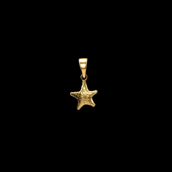 Tiny Tuvstarrs Star Charm Gold i 18K guldpläterat silver