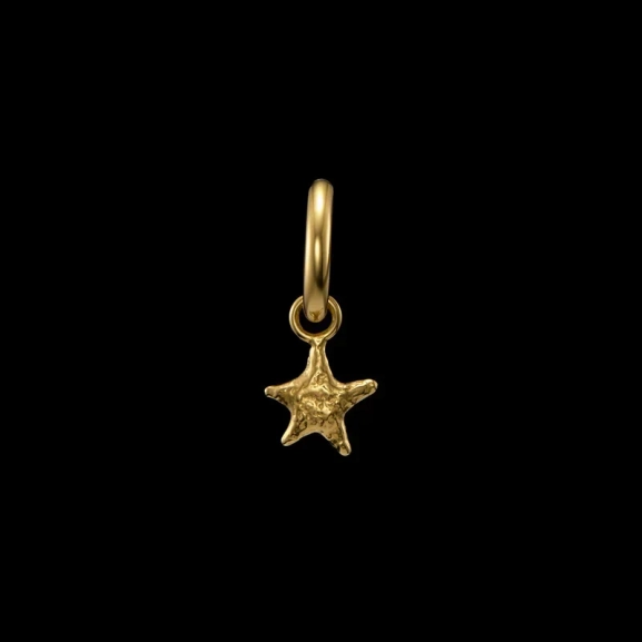 Tiny Tuvstarrs Star Earring Gold i 18K guldpläterat silver