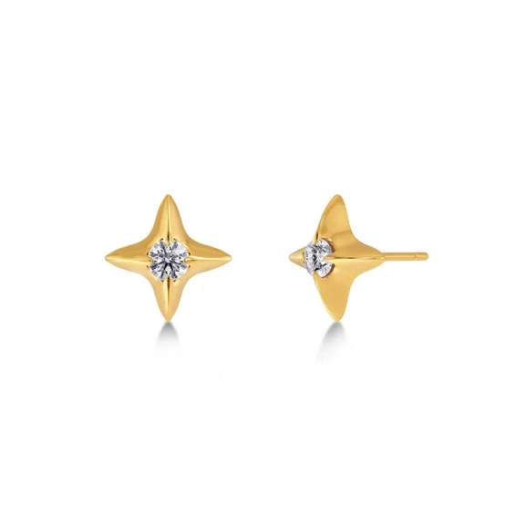 Stellar Studs Gold örhängen i 14K guldplätering med stjärndekoration och cubic zirconia