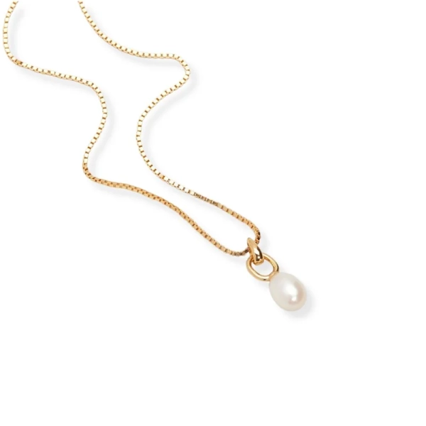 Coastal Halsband Guld - Sparv - Populära smycken för alla tillfällen