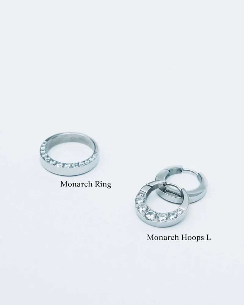 polerade stålhoops med gnistrande cubic zirconia-stenar från Edblads Monarch-kollektion