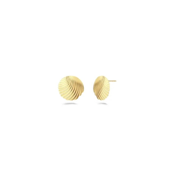 Shelli Studs S Gold - Edblad - Snabb frakt & paketinslagning - Nordic Spectra