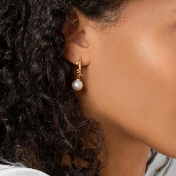 Branch Pearl Hoops Gold - Drakenberg/Sjölin Örhängen- Snabb leverans & paketinslagning - Nordic Spectra
