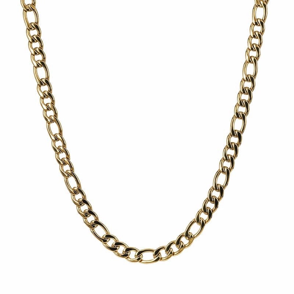 SCOTT Large Halsband Guld - AROCK - Snabb frakt & paketinslagning - Nordicspectra.se