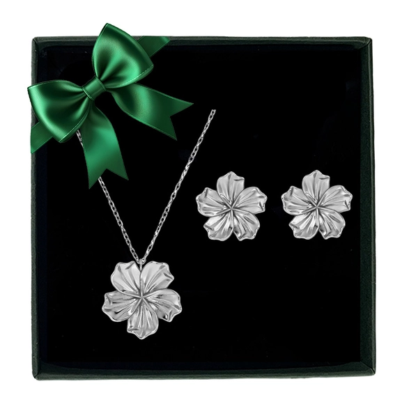 Presentset Jasmine med halsband och örhängen i stål