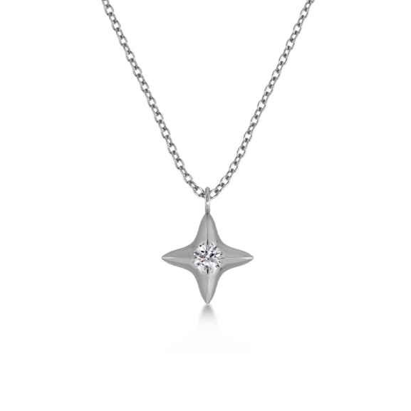 Halsband i polerat rostfritt stål med stjärndekoration och gnistrande cubic zirconia