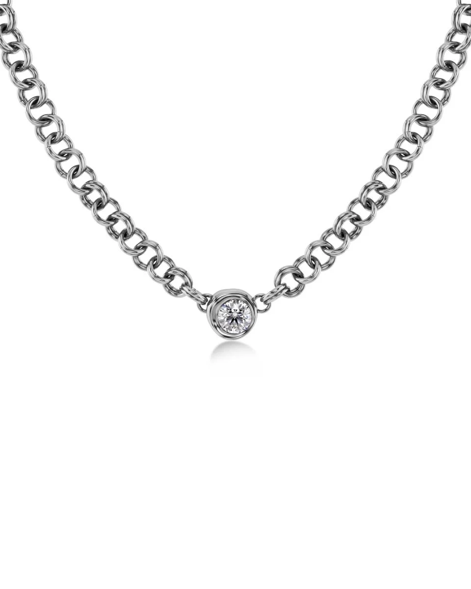 Halsband i polerat rostfritt stål med dubbla länkar och stor