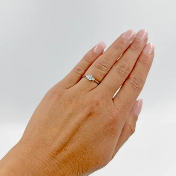 Eterna 22 Platina - Vigsel- & förlovningsringar - Schalins - Fri storleksändring* - Nordic Spectra