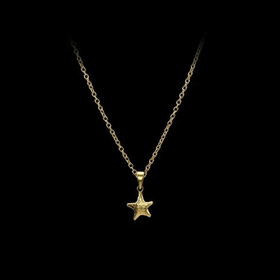 Tiny Tuvstarr’s Star Necklace i 18K guldpläterat silver