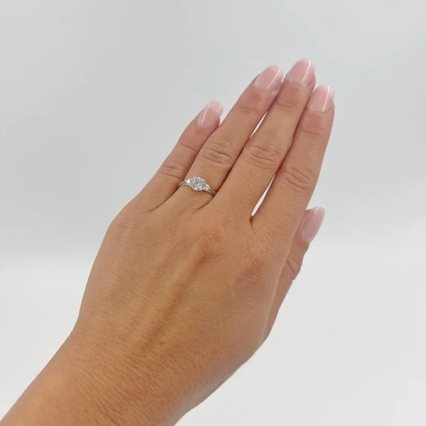 Eterna 18 Platina - Vigsel- & förlovningsringar - Schalins - Fri storleksändring* - Nordic Spectra
