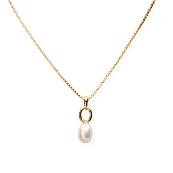 Coastal Halsband Guld - Sparv - Populära smycken för alla tillfällen