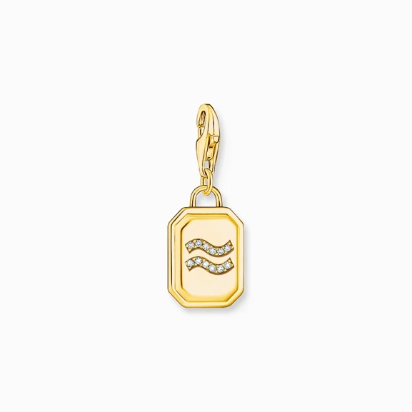 Charm-Anhänger Sternzeichen Wassermann mit Steinen Gold - Thomas Sabo - Nordic Spectra