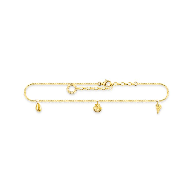 Ankellänk Snäckor Guld
