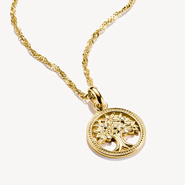 symboliserar styrka och sammanhållning.