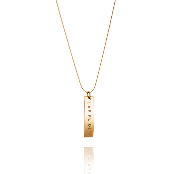 Carpe Diem Pendant Gold - Efva Attling halsband - Snabb frakt & paketinslagning - Nordicspectra.se