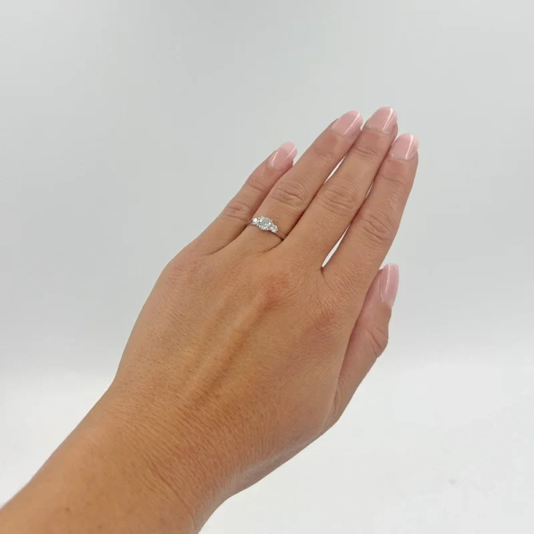 Eterna 17 Platina - Vigsel- & förlovningsringar - Schalins - Fri storleksändring* - Nordic Spectra