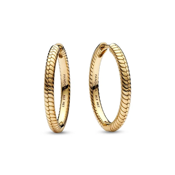 Pandora Moments Charm-Ohrringe - PANDORA - Nordic Spectra