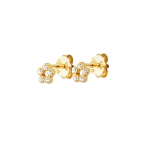 Bliss Studs Gold - Drakenberg Sjölin Örhängen - Snabb frakt & paketinslagning - Nordicspectra.se