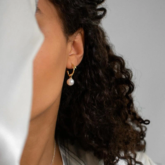 Branch Pearl Hoops Gold - Drakenberg/Sjölin Örhängen- Snabb leverans & paketinslagning - Nordic Spectra