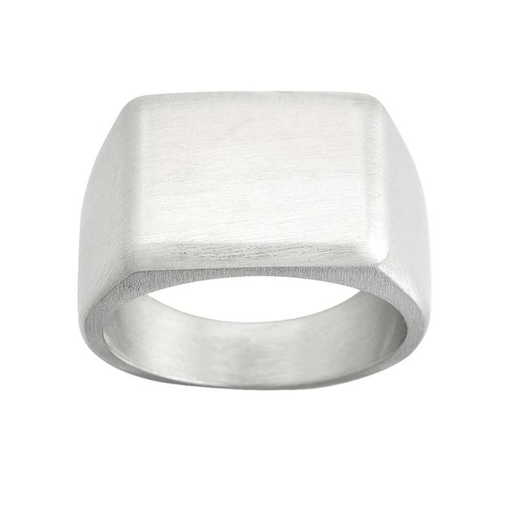 Cole Signet Ring Matt Steel - Edblad - Snabb frakt & paketinslagning - Nordicspectra.se