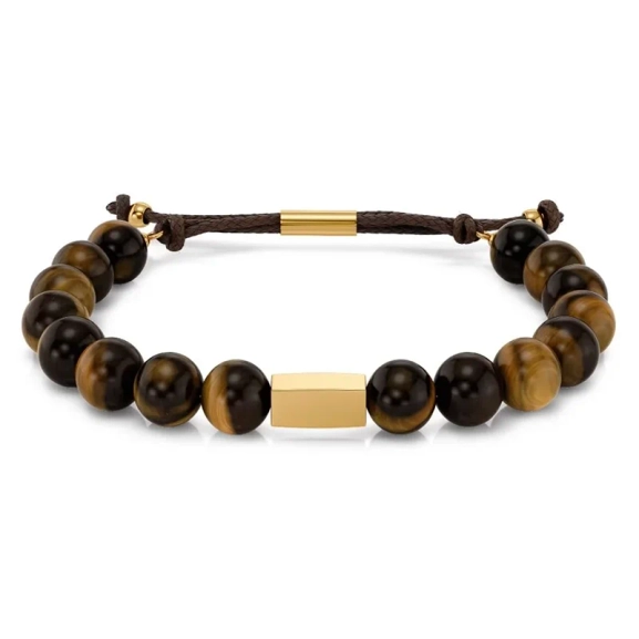 Edblads herrarmband Luke i gul tigeröga och rostfritt stål med 14K guldplätering