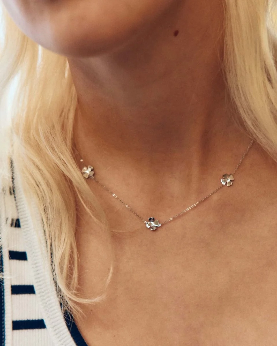 Halsband i blankt rostfritt stål med fem stiliserade fyrklöver på kedjan