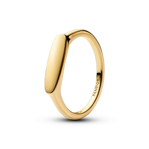 Vergoldeter nackter Ring von Pandora Moments