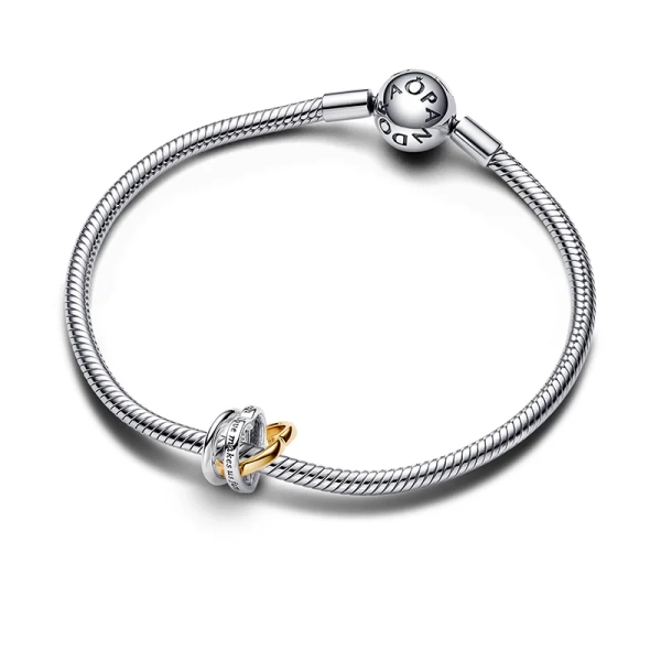 Bicolor Stiefmutter Verschlungene Herzen Charm - PANDORA - Nordic Spectra