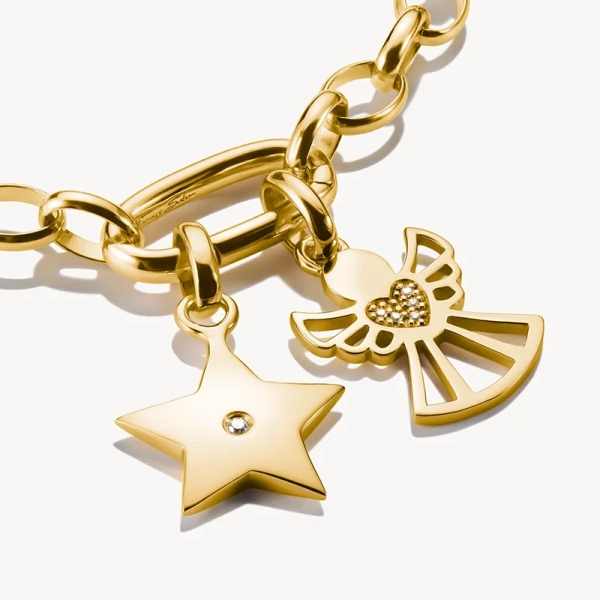 symboliserar beskydd och omtanke. Passar Charm Club Connect.