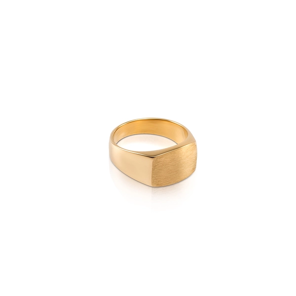 Alexis Signet Ring 18K Gold Matte - Nordic Spectra - Suuri valikoima & ilmainen lahjapaketointi - Nordicspectra.fi