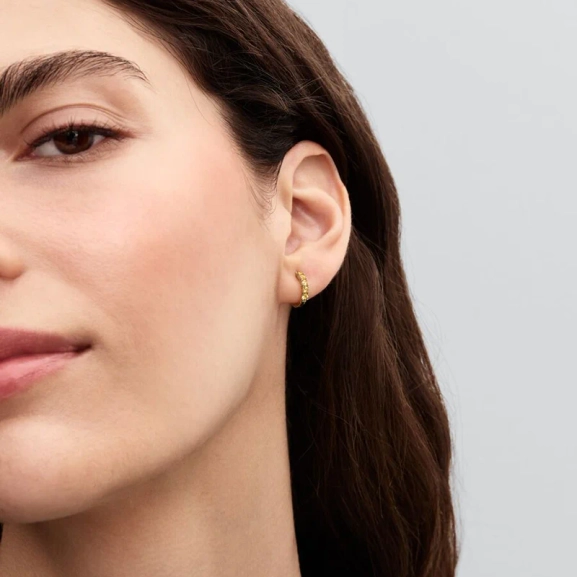 Gula Huggie Örhängen Guld från Pandora Timeless kollektionen med Cubic Zirconia stenar och 14 karat guldplätering.