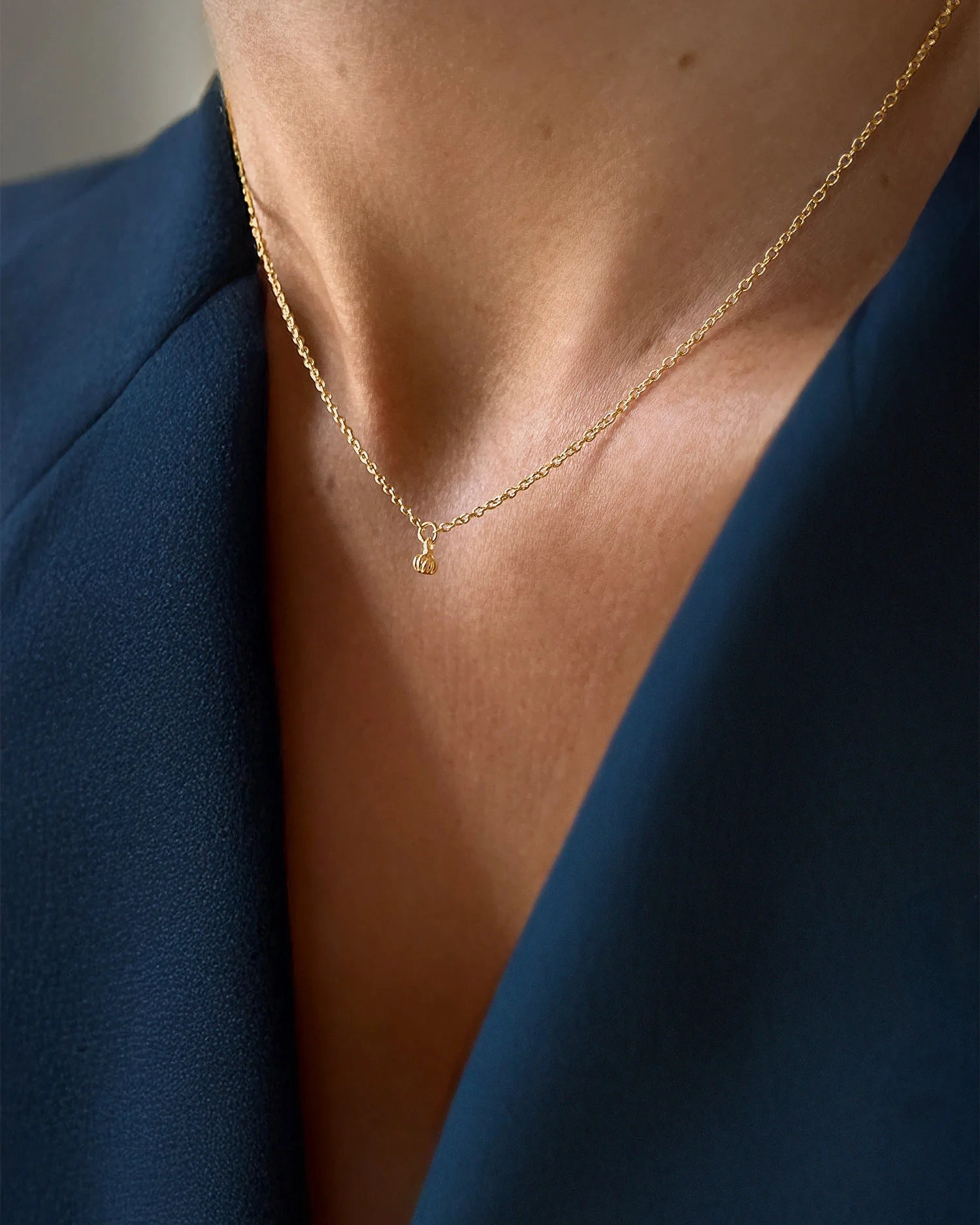 nbd-n1s451-g-drakenberg-sjolin-2