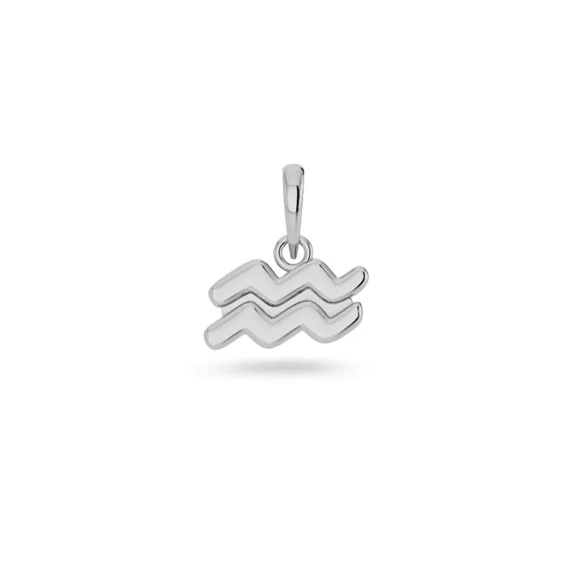 Zodiac Sign Aquarius Steel - Edblad - Snabb leverans - Gratis paketinslagning