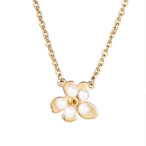 Förgätmigej Gold Plated presentset med halsband och örhängen i guldpläterat silver