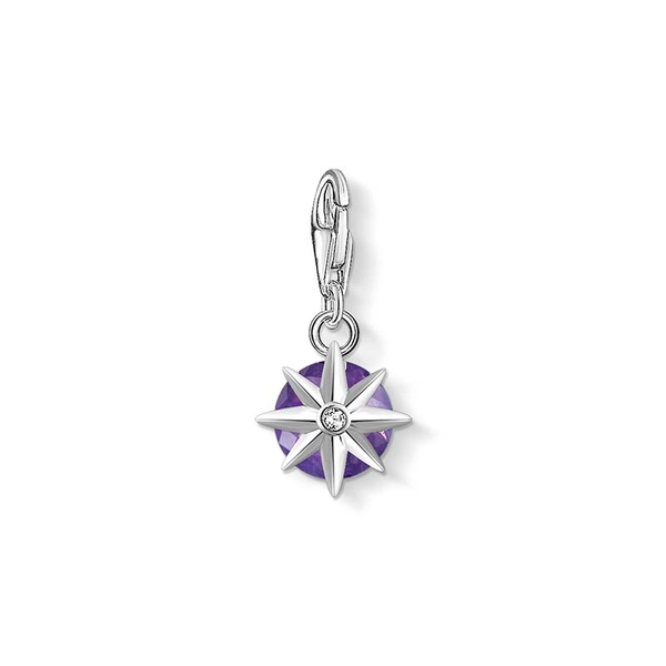 Charm-Anhänger Geburtsstein Februar von Thomas Sabo, Schneller Versand - Nordicspectra.de