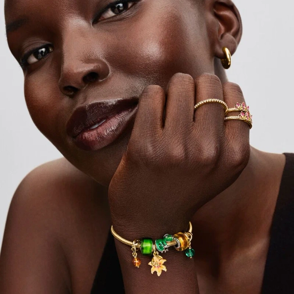 793983c01-pandora-berlocker-4