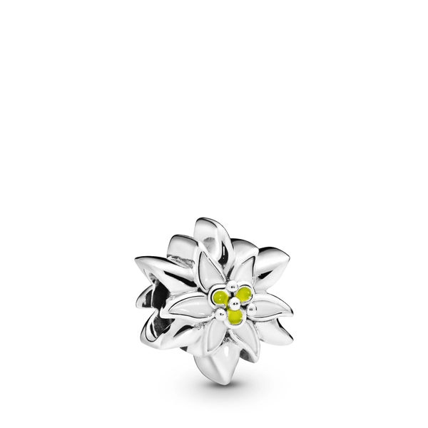 Edelweiß Charm von PANDORA, Schneller Versand - Nordicspectra.de