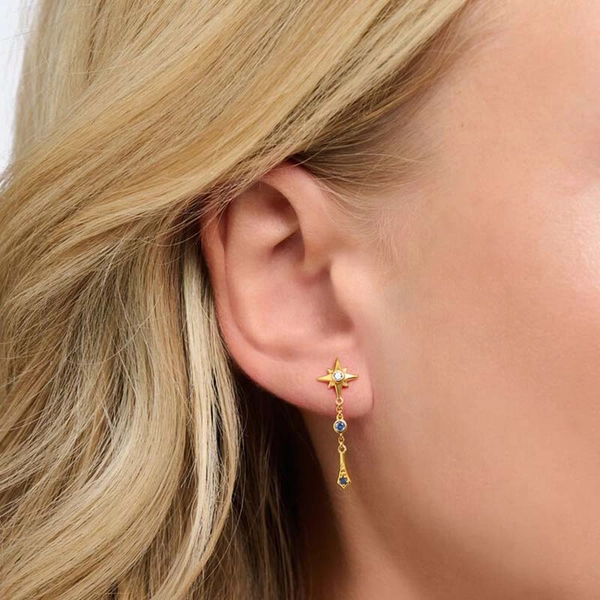 Ohrringe Royalty Stern Mit Steinen Gold von Thomas Sabo, Schneller Versand - Nordicspectra.de