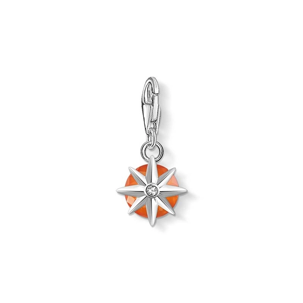 Charm-Anhänger Geburtsstein Januar von Thomas Sabo, Schneller Versand - Nordicspectra.de
