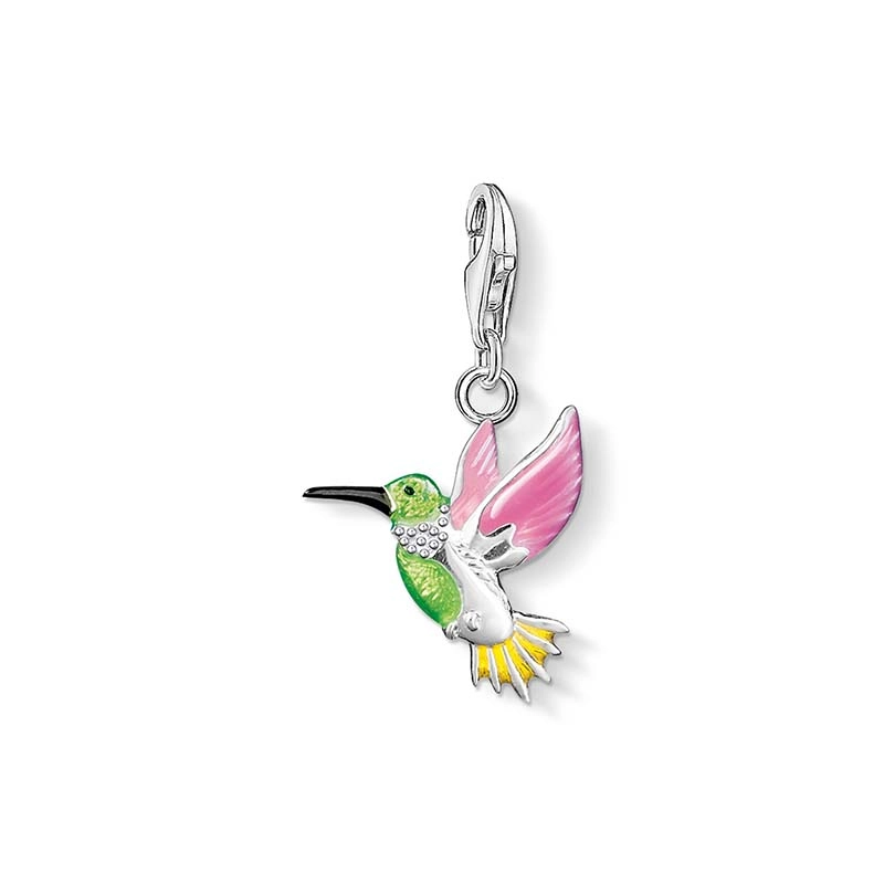 Färgglad Kolibri Berlock