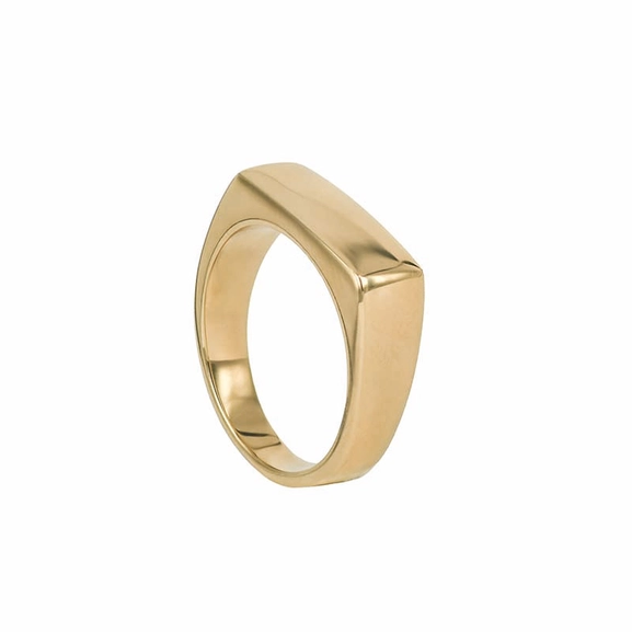TIM Ring Guld - AROCK - Snabb frakt & paketinslagning - Nordicspectra.se