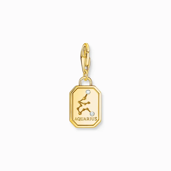 Vattumannen Stjärntecken Berlock Guld - Thomas Sabo - Snabb leverans & paketinslagning - Nordic Spectra