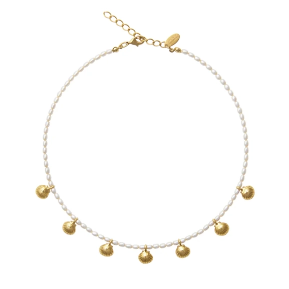 Shell Pearl Choker Gold med glänsande pärlor och snäckdetaljer